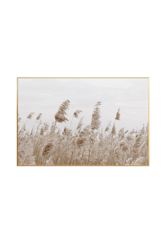 CP086 Neutral Beige Abstract Canvas Print Wall Decor