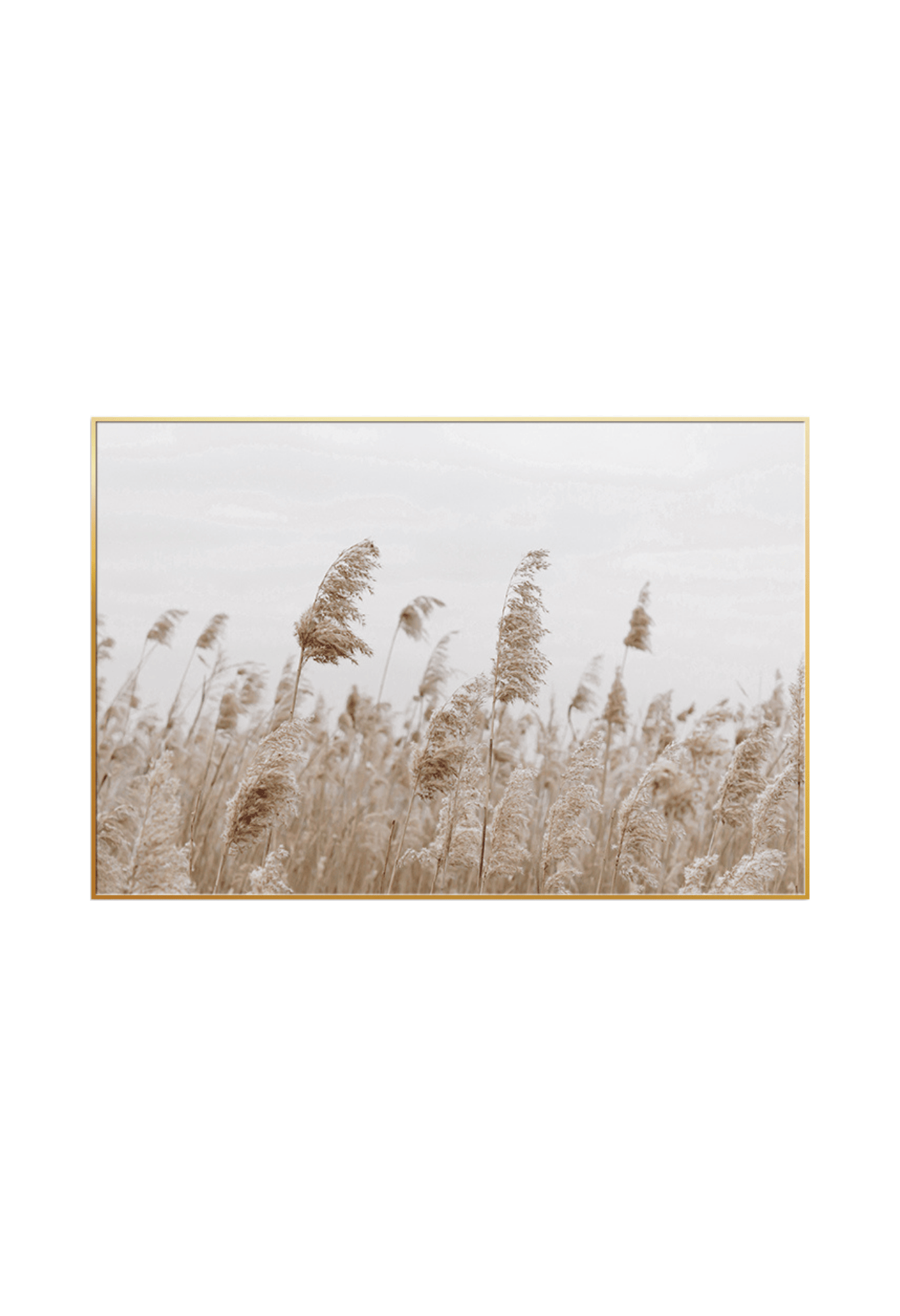 CP086 Neutral Beige Abstract Canvas Print Wall Decor